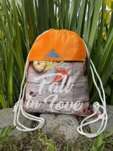 4CA88356-E964-4C3A-B0B9-A790AF78F74D_1_105_c